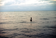 Photos by Randy Bundschuh